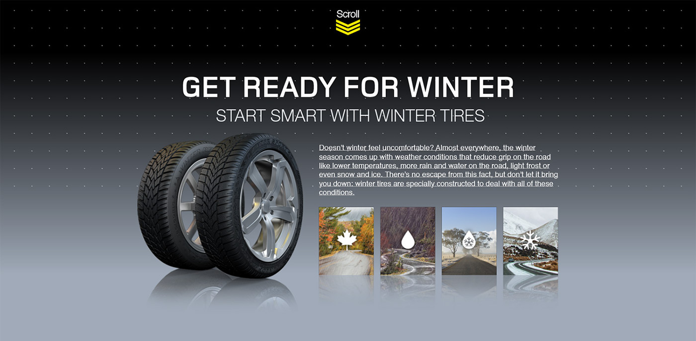 dunlop winter tires