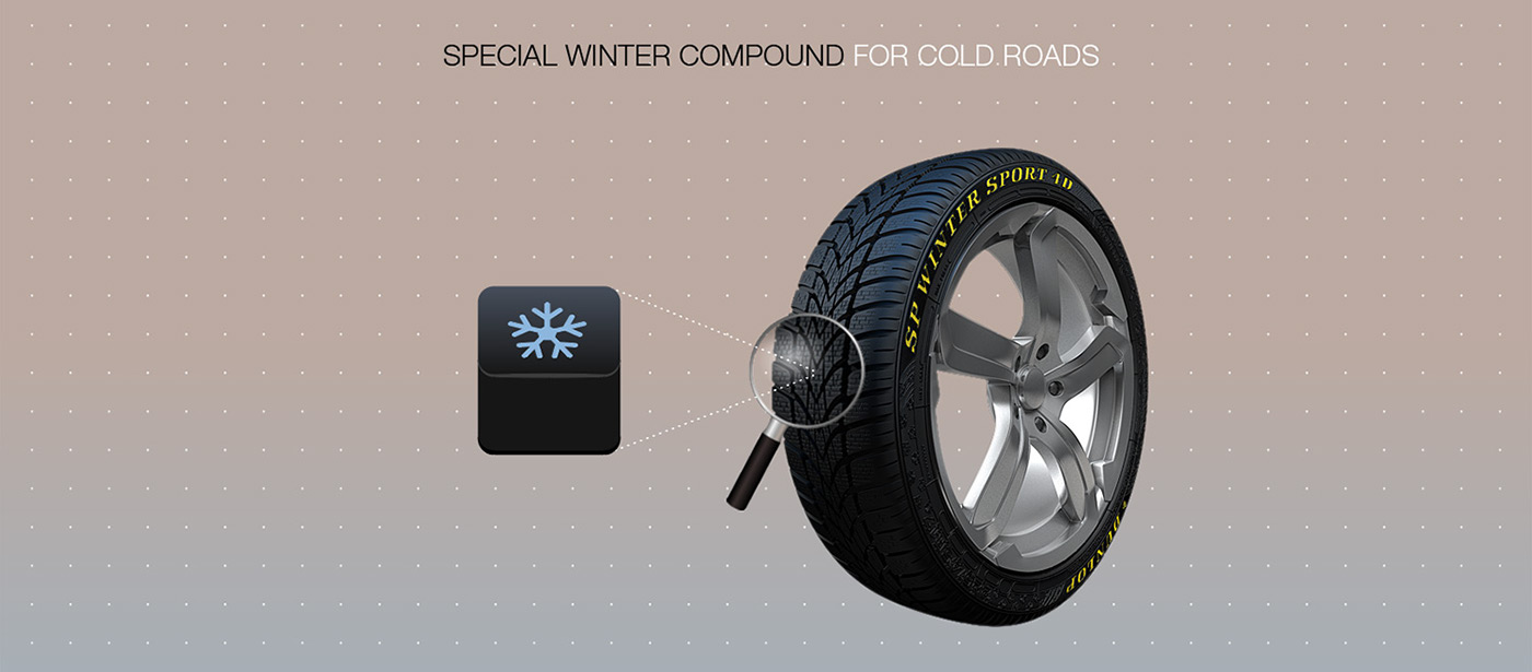 dunlop winter tires