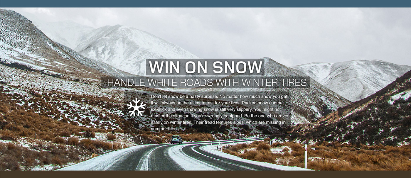 dunlop winter tires