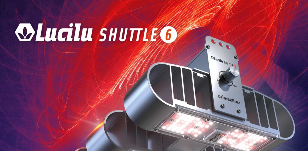 lucilu shuttle 6